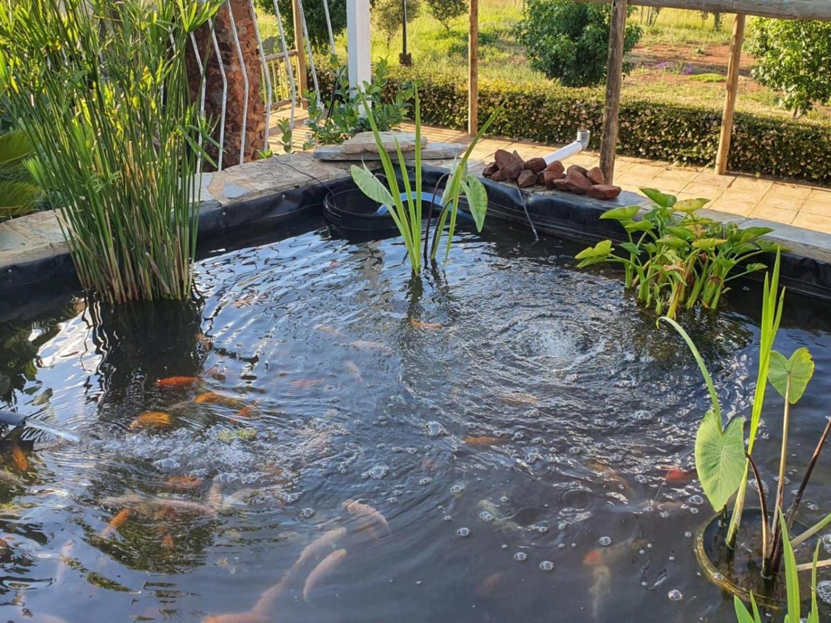 Koi Inn Hartbeespoort Luaran gambar